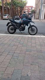 Derby terra125