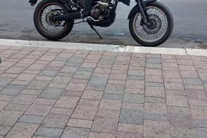 Derby terra125
