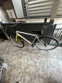 Bicicletta beretta