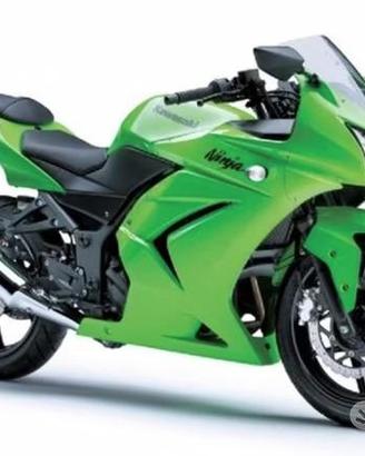 Ricambi kawasaki ninja 250 NO CARENE