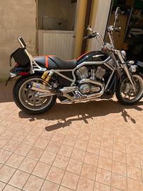 Moto Harley Davidson street rod ( VRSCR)-2006 .