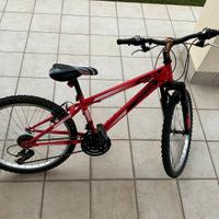 Bici mountain bike dai 10 ai 12 anni