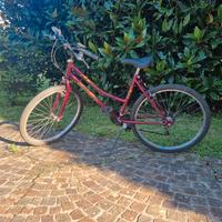 Bicicletta ragazza/o