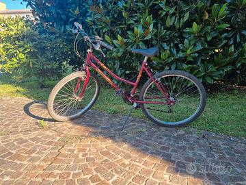 Bicicletta ragazza/o