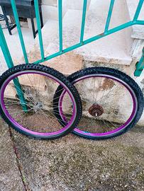 due cerchi per bici