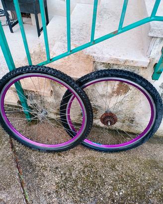 due cerchi per bici