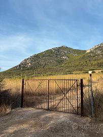 Vigna Zona Muru Galtelli