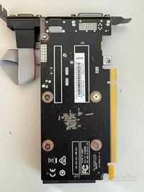 Scheda grafica zotac