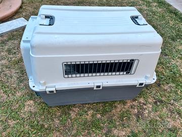 Kennel gabbia cane