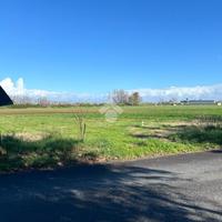 TER. AGRICOLO A SAN MARCELLINO