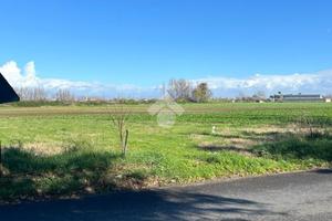 TER. AGRICOLO A SAN MARCELLINO