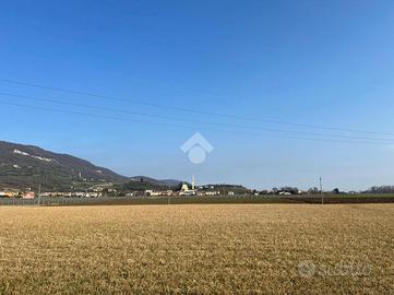 TER. AGRICOLO A NANTO