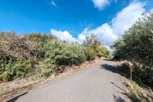 Uliveto a Ragalna con rudere