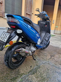 Malaguti phantom f12