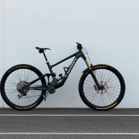 Specialized Enduro S-works