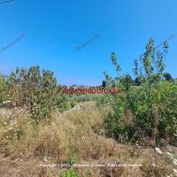 Terreno, Termini Imerese.