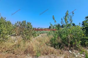 Terreno, Termini Imerese.