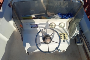 Motoscafo con motore