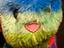 Immagine 4