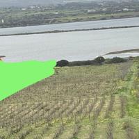 Terreno agricolo, vigneto