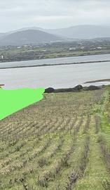 Terreno agricolo, vigneto