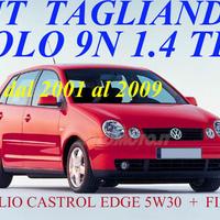Tagliando polo 9n 1.4 tdi olio castrol 5w30 filtri