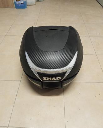 Bauletto SH34 SHAD