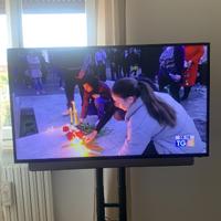 tv 4k marca Akay  49 pollici usato poco 