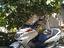 Immagine 3