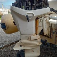 BLOCCO MOTORE Evinrude Etec