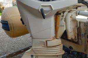 BLOCCO MOTORE Evinrude Etec