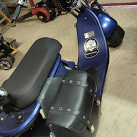 Scooter elettrico.potente