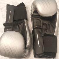 Guantoni da boxe 