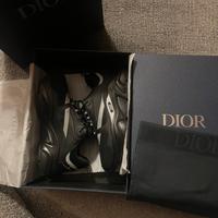 Dior B22