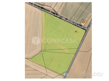 Terreni agricoli di 7,5 ettari