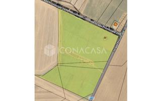 Terreni agricoli di 7,5 ettari