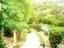 Immagine 10