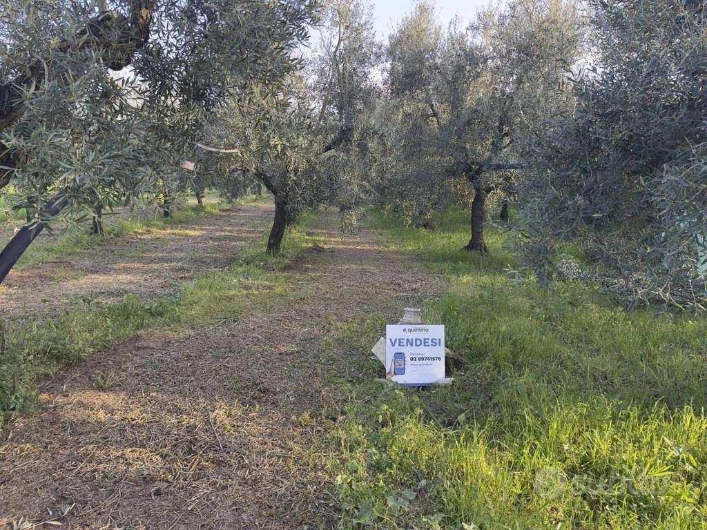 Immobile in asta di 13458 m² a Andria - Vista 3