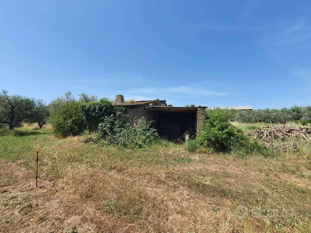 Terreno di 3039 m² a Vitorchiano - Vista 5
