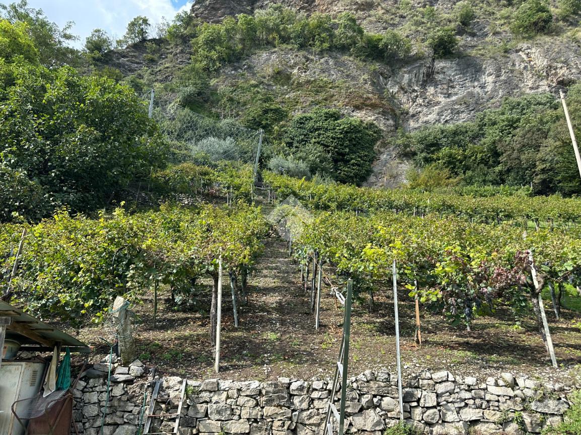 TER. AGRICOLO A BRENO - Altro