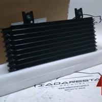 Radiatore Olio Nissan Qashqai 13> 216064EA0A