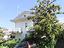 Immagine 29
