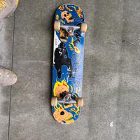 Skateboard
