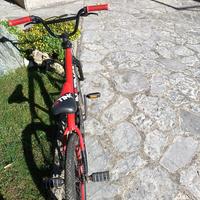 Bici BMX