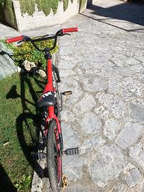 Bici BMX