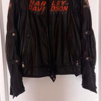 Giubbotto harley davidson