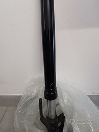 Forcelle street triple r765