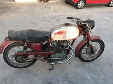 Ducati Altro modello - Anni 50
