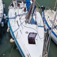 Barca vela natante Wauquiez Gladiateur 33