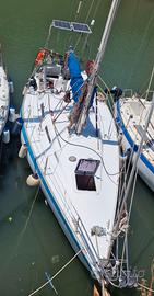 Barca vela natante Wauquiez Gladiateur 33